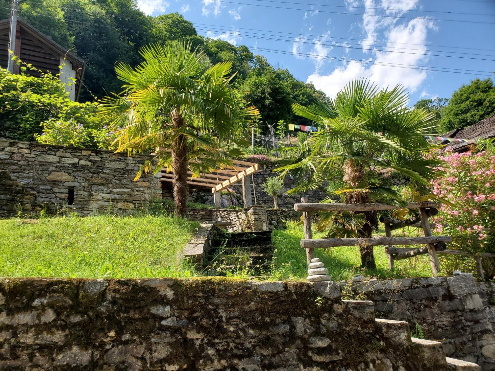 Villa Oasis Di Riposa Semione Exterior foto